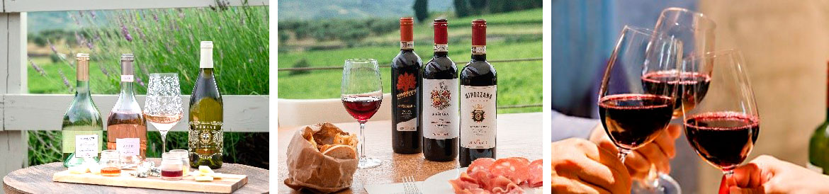 Degustazione con un esperto di Vini Toscani nel nostro terrazzo